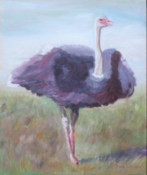 "Ostrich"