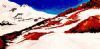 "Snowline"