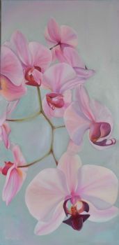 "Pink Orchid"