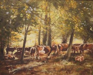 "Hogsback Cattle"