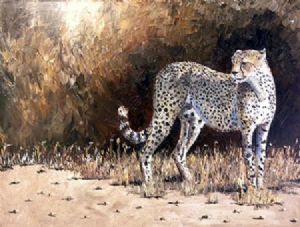 "Last Cheetah Standing"