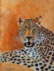 "Leopard Portrait"