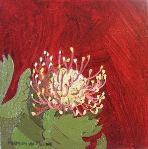 "Fynbos 86, Leocospermum Patersonii"
