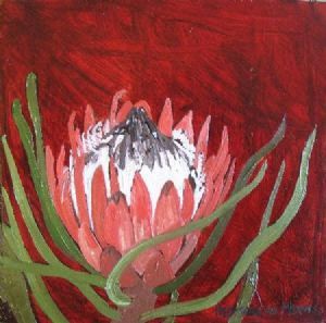 "Fynbos 90, Protea Minor Compton"