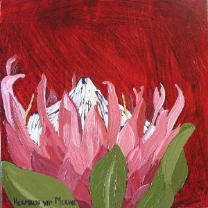 "Fynbos 87, Giant Protea"