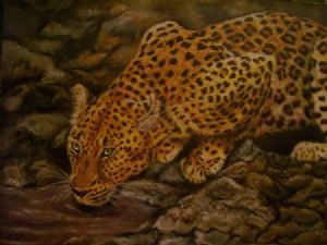 "leopard"
