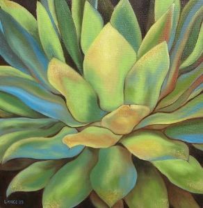"Agave (Copy-Jillian David) "