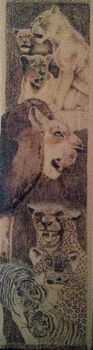 "Big Cats"