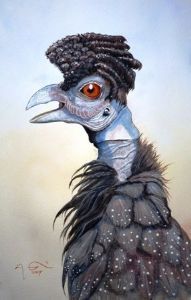 "Crested Poenskop"