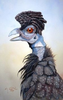 "Crested Poenskop"