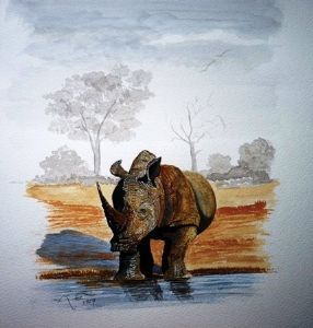 "Rhino @ Waterhole"