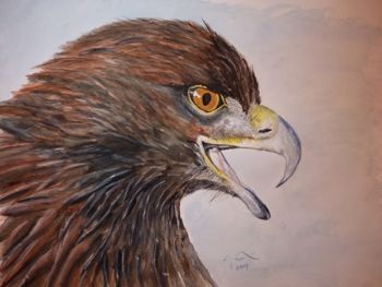 "Brown Eagle"