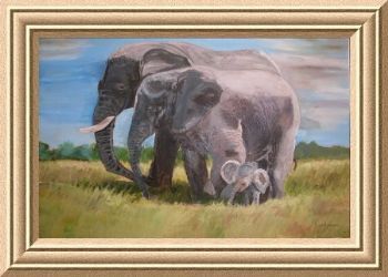 "Elephants, Addo"
