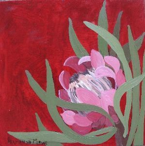 "Fynbos 91, Eastern Ground Sugarbush"
