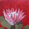 "Fynbos 84, Protea Cynoroides"