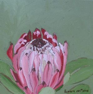 "Fynbos 93"