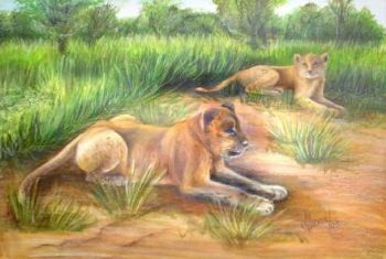 "Lion Cubs"