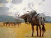 "Blue Wildebeest"