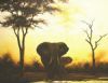 "Sunset Waterhole"