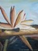 "Waterlily"