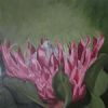 "Fynbos 96, Giant Protea"