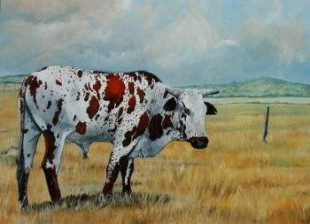 "Nguni #7"