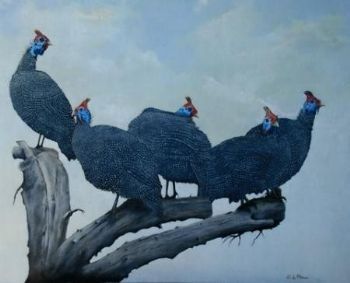 "5 Guineas in My Tree"