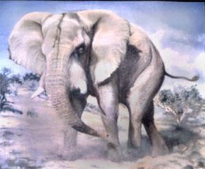 "Charging Elephant"