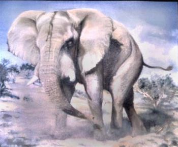 "Charging Elephant"