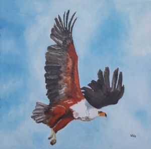 "Fish Eagle in Flight"