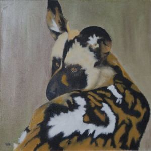 "African Wild Dog"