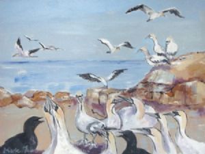 "The Gannet Colony"