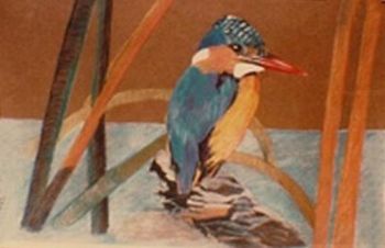"Malachite Kingfisher"