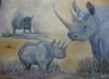 "Save the Rhino"