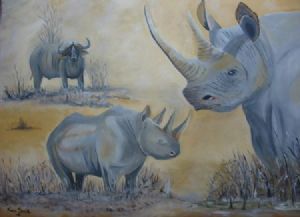 "Save the Rhino"