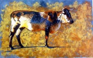 "Nguni Bull"