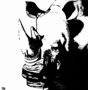 "Big 5 - Rhino"