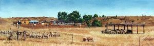 "Kraal on the Kruisfontein Road"