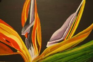 "Inside Strelitzia "