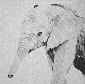 "Baby Big Five - Elephant"