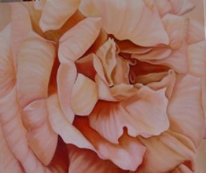 "Soft Petals"