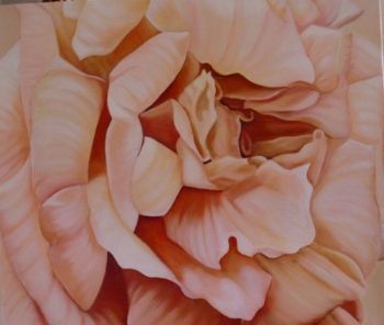 "Soft Petals"