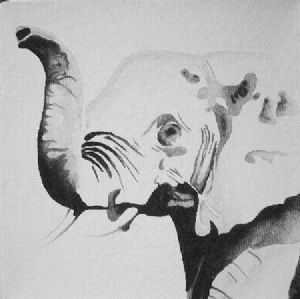 "Elephant"