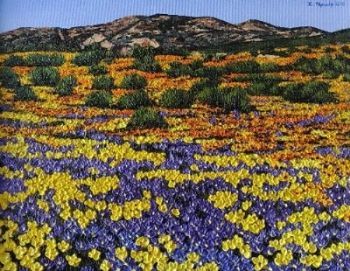 "Namaqualand In bloom"