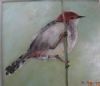 "Little bird"