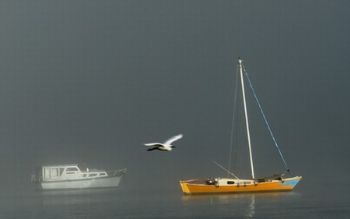 "Boat in the Mist"