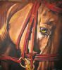 "Horse 6"