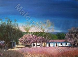 "Violet Storm"