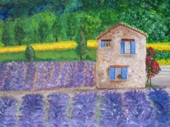 "Lavender Field in Provance"