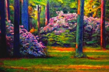 "Peaceful Morning"